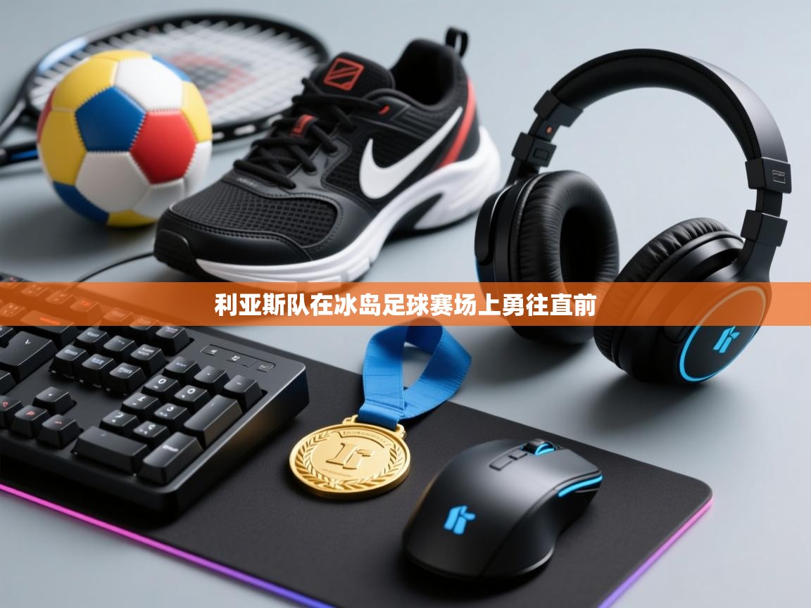 利亚斯队在冰岛足球赛场上勇往直前  第2张