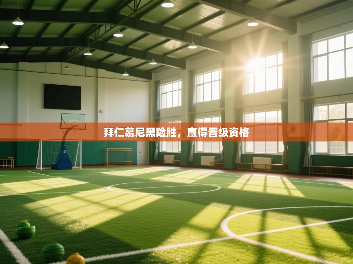 拜仁慕尼黑险胜,赢得晋级资格 第1张