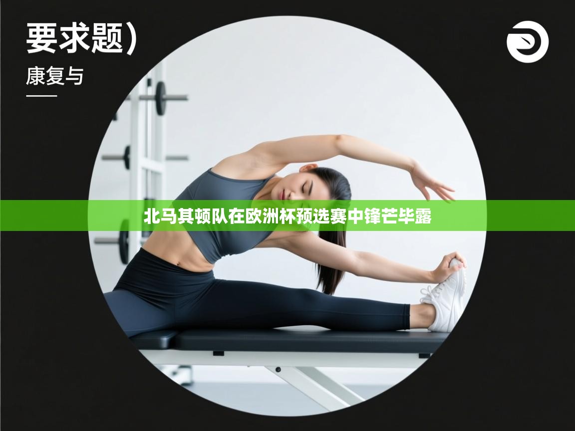 北马其顿队在欧洲杯预选赛中锋芒毕露  第2张