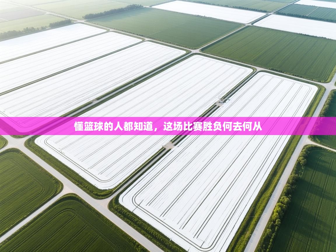 懂篮球的人都知道，这场比赛胜负何去何从  第2张