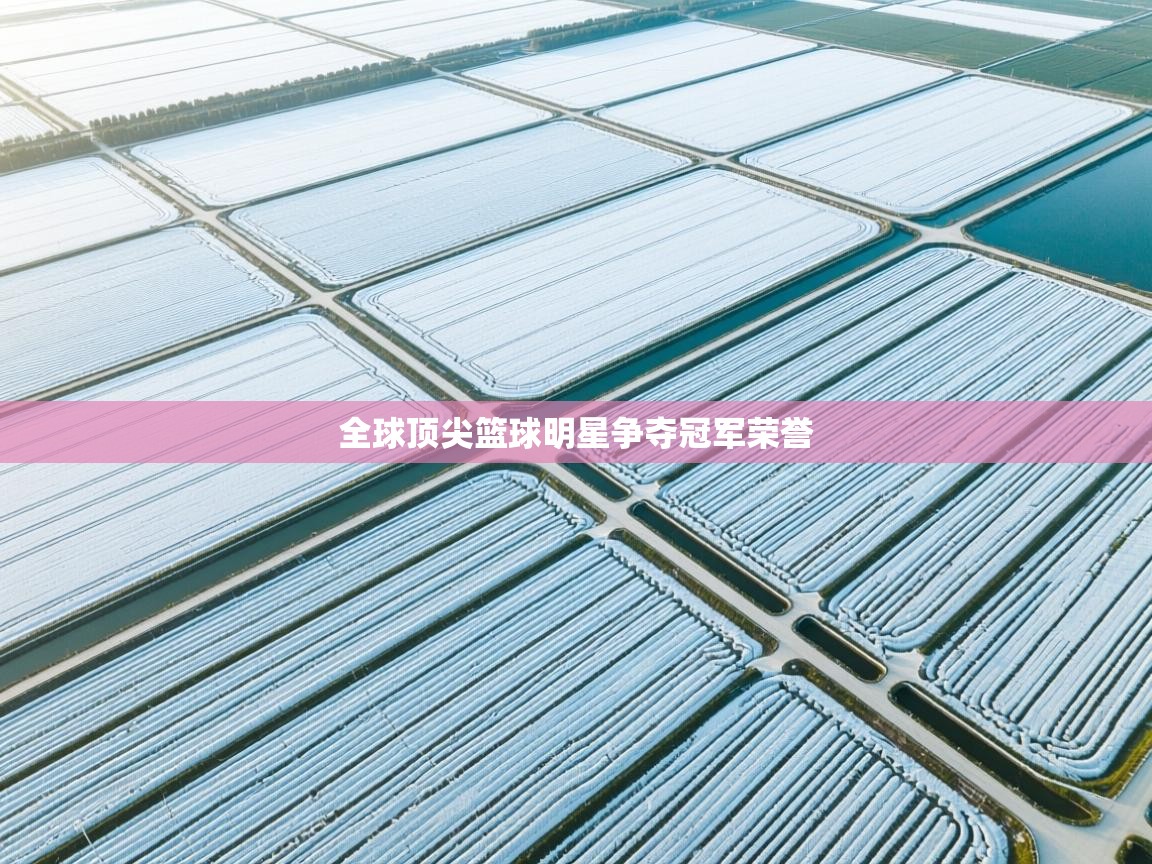 全球顶尖篮球明星争夺冠军荣誉 第2张