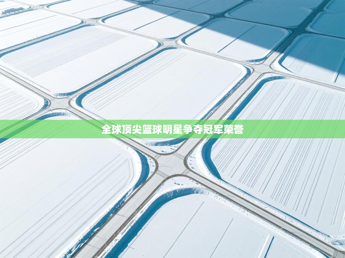 全球顶尖篮球明星争夺冠军荣誉 第1张