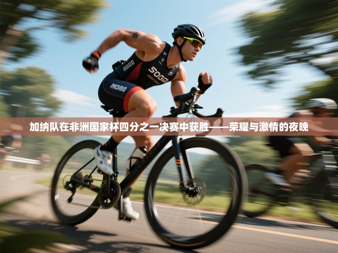 加纳队在非洲国家杯四分之一决赛中获胜——荣耀与激情的夜晚 第1张